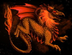 0041-dragon+fire-fir