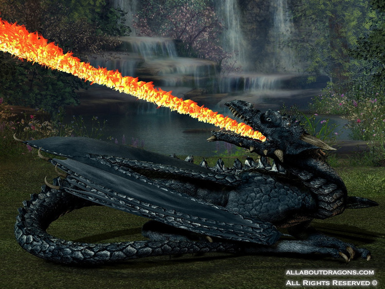 0468-dragon+fire-blue_dragon_attack_by_dragonlord3457.jpg