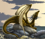 1621-dragon-Forever_