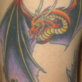1428-dragons-red_dra