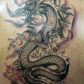 0068-dragon-tattoo-d